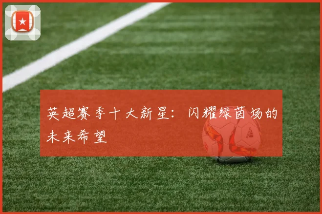 英超赛季十大新星：闪耀绿茵场的未来希望
