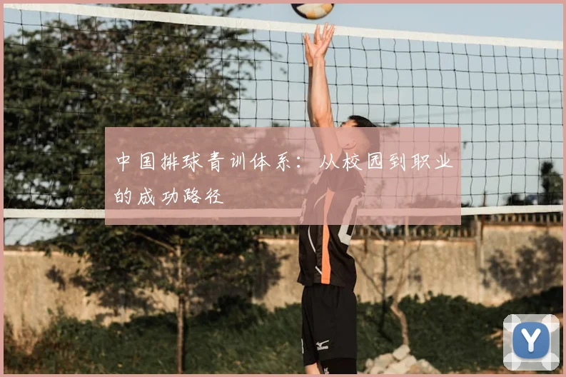 中国排球青训体系：从校园到职业的成功路径