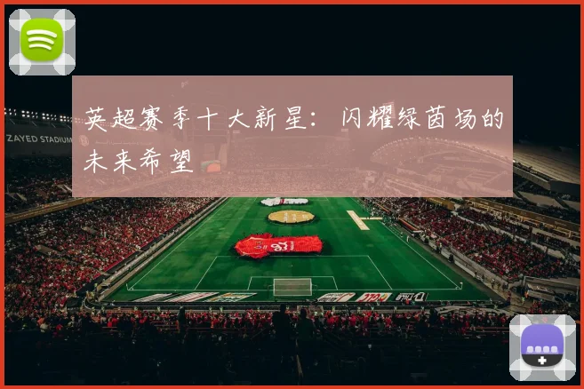 英超赛季十大新星：闪耀绿茵场的未来希望