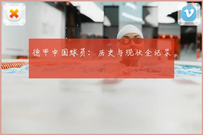 德甲中国球员：历史与现状全记录