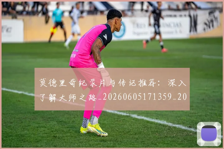 莫德里奇纪录片与传记推荐：深入了解大师之路_20260605171359_20260703181752