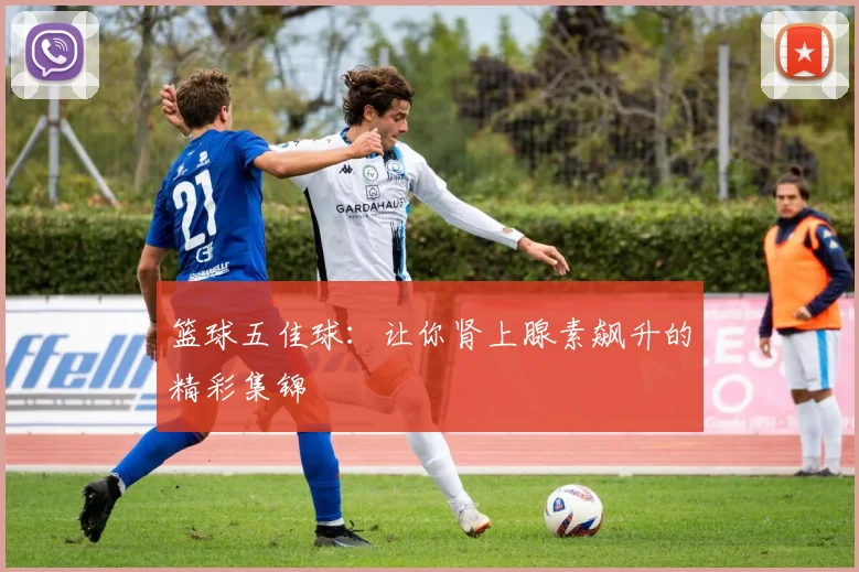 篮球五佳球：让你肾上腺素飙升的精彩集锦