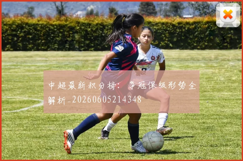 中超最新积分榜：争冠保级形势全解析_20260605214348