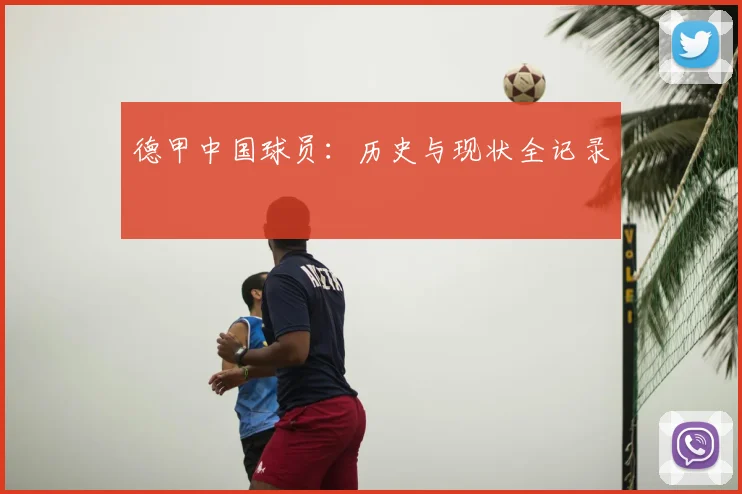 德甲中国球员：历史与现状全记录