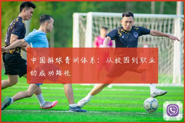 中国排球青训体系：从校园到职业的成功路径